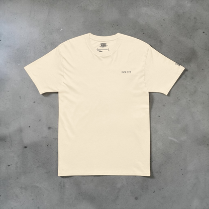 DRY BONES · EZK 37:5